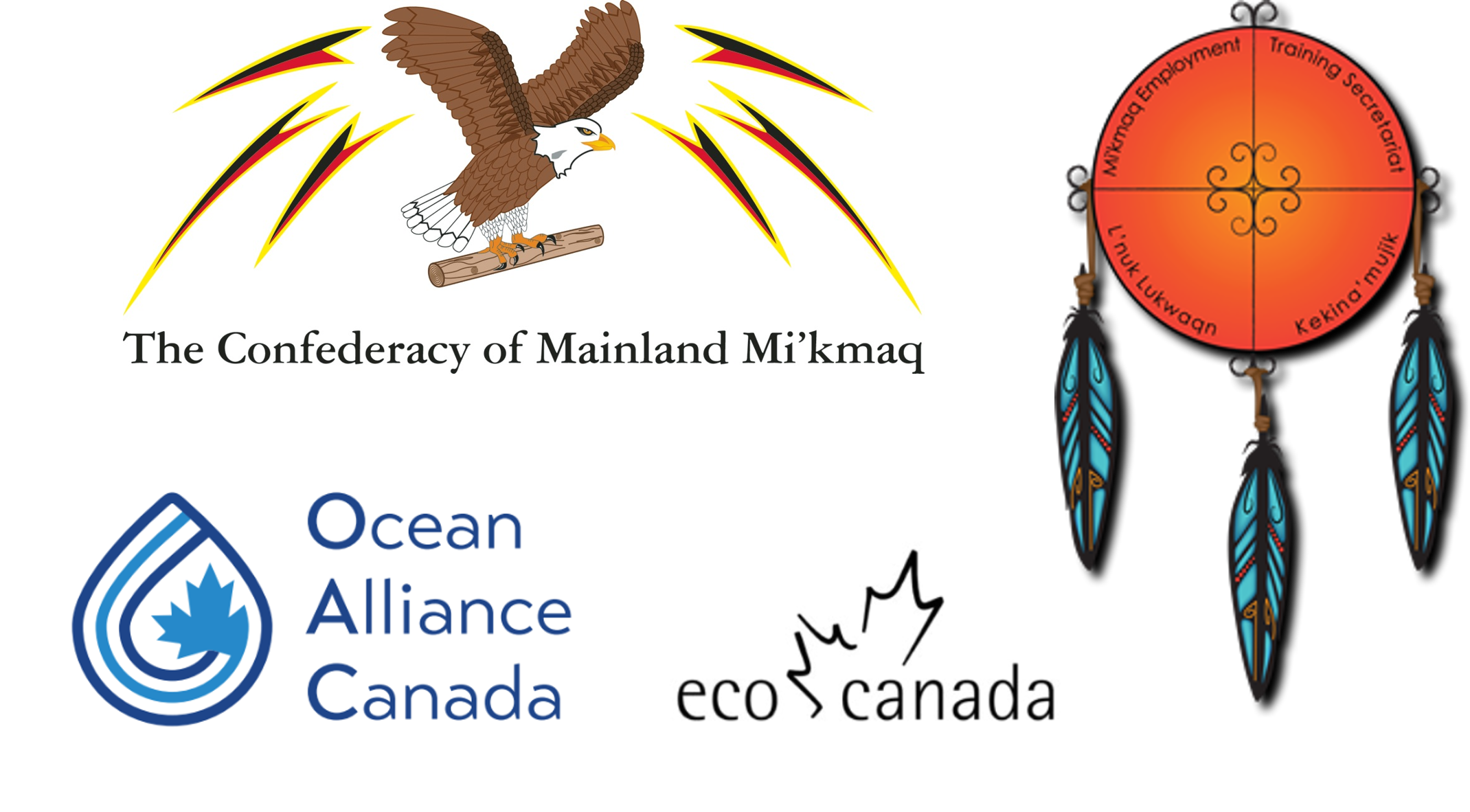 Survey logo
