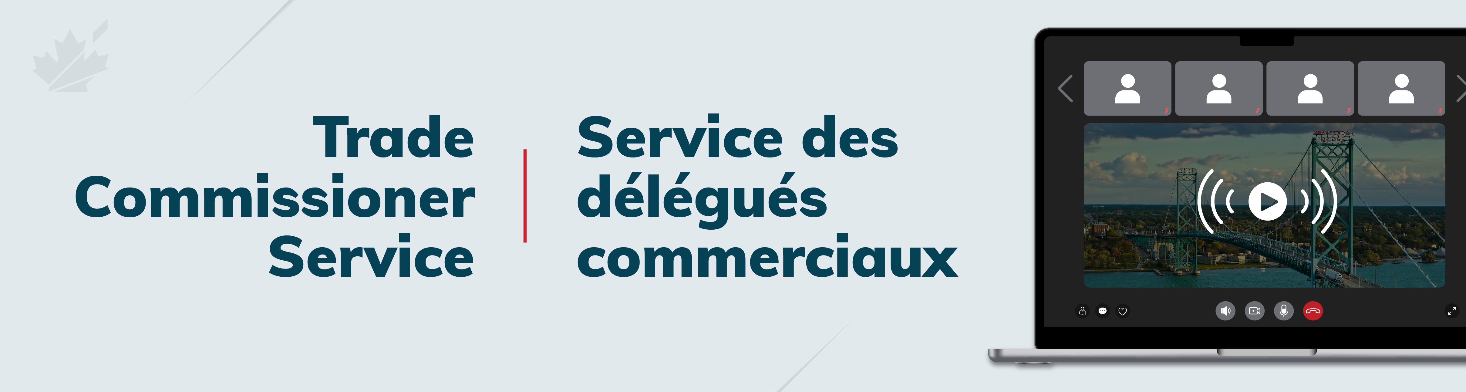 Survey logo